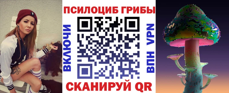 Галлюциногенные грибы Psilocybe  Менделеевск 